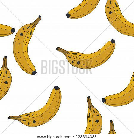 Seamless background pattern with bananas. Froot vector illustration. Natural plant.