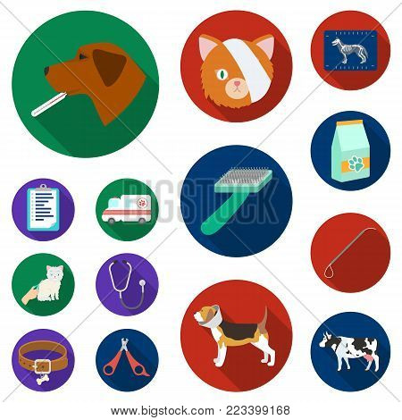 Veterinary clinic flat icons in set collection for design. Treatment of a pet vector symbol stock  illustration.