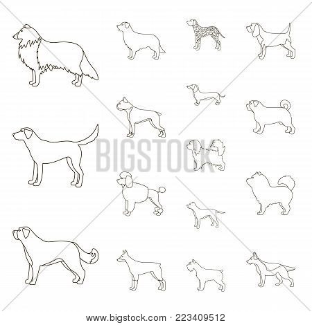 Dog breeds outline icons in set collection for design.Dog pet vector symbol stock  illustration.