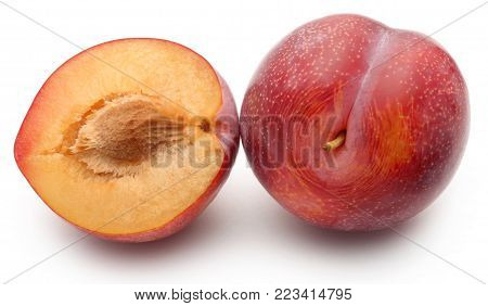 Blommer The Finest Dansih Plum Isolated Over White Background