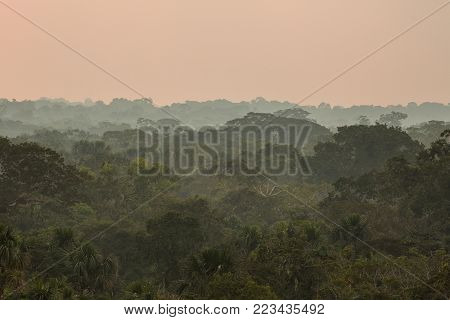 Rain Forest, south america, ecuador, landscape, haze, fog