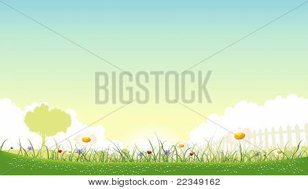 Forår og sommerblomster landskab