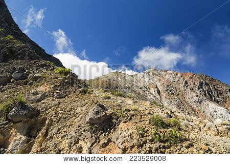 The Tree line on the hike down Mount Egon on the Indonesian Island of East Nusa Tenggara.