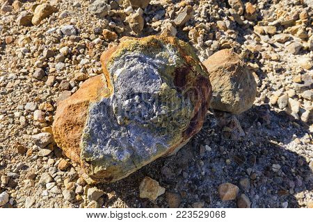 The Tree line on the hike down Mount Egon on the Indonesian Island of East Nusa Tenggara.