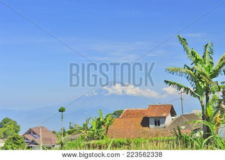 a cool countryside with a mountain background