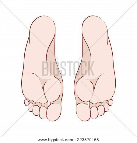 The sole of human foot, realistic anatomical linear and color pattern.
Graphic line. Vector. Isolated on white background