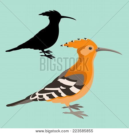 hoopoe  bird vector illustration flat style black silhouette profile view