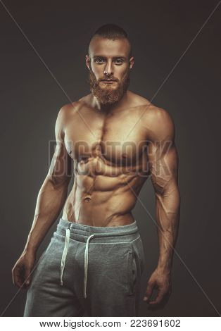 Strong muscular man with beard isolated on grey background.