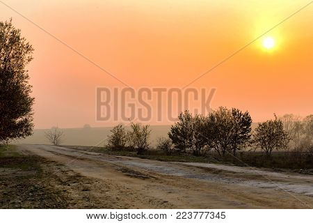 beautiful misty autumn landscape. Road to the village, near the road is a dry tree. fog