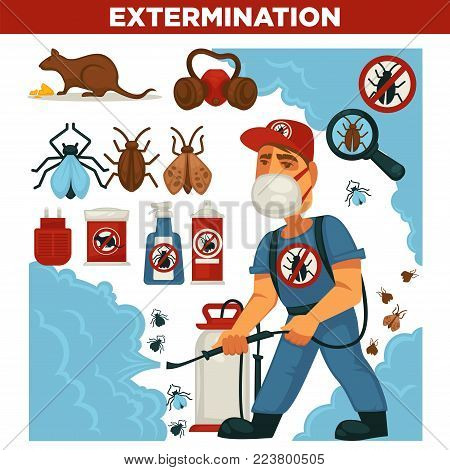 Extermination or pest control service and sanitary domestic disinfection vector flat design poster. Disinfector man with disinfectant liquid or gas spray against mouse rats, cockroaches and mite insects