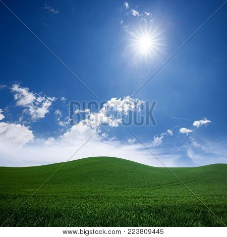 Green grass lawn and blue sunny sky. Nature idyllic background