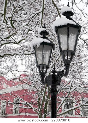 Nigth city lights under the snow, pink house
