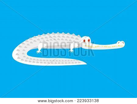 Albino Alligator isolated. White Crocodile with red eyes. Monster wild predator Vector illustration