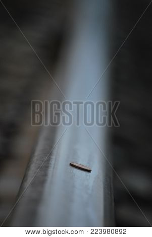 a penny on a railroad track going off into the distance on a cloudy day in the afternoon the penny represents the child in all of us waiting for the train to run over it and make it flat