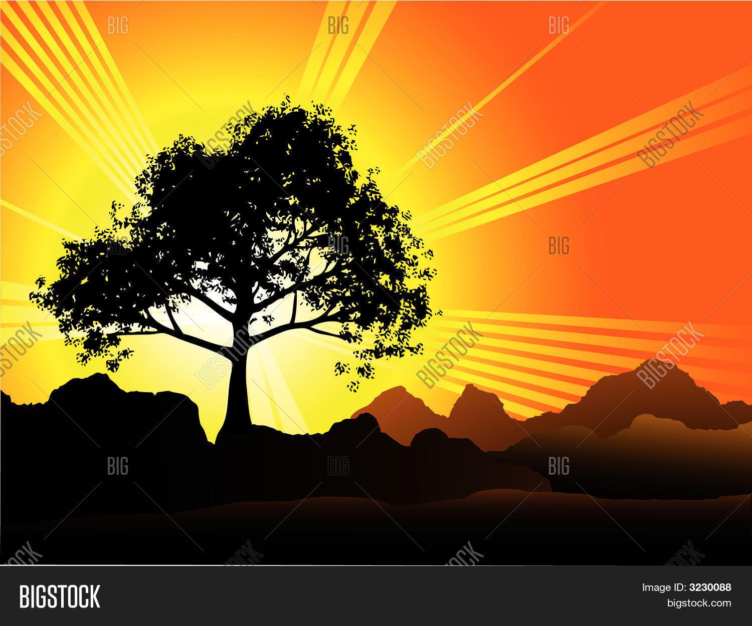 Image Preview