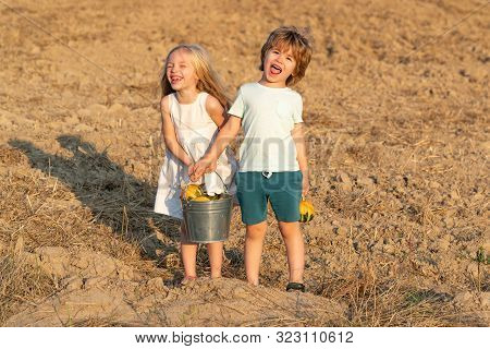 Carefree Childhood. Two Little Children On Countryside Farm. Cute Toddler Girl And Boy Working On Fa