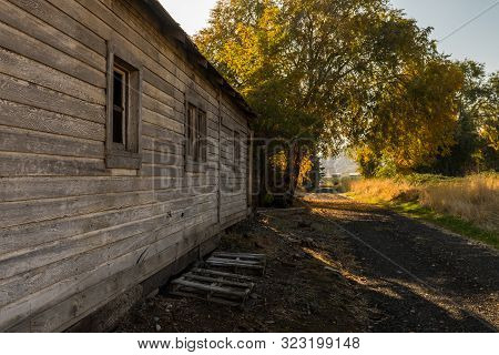 Abandoned House Next To A Dirt Road Covered By Tree Shadows In Maryhill, Washington, Usa