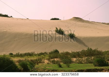 A View Of A Big Dune Of Sand Next To A Prairie
