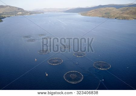 Fish Farm Salmon Marine Sea Nets Farming At Loch Fyne Scotland Uk