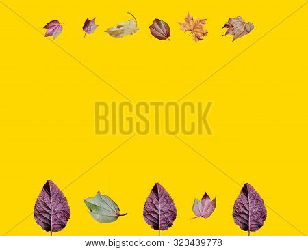 Magic Autumn With Leaves Flying In The Bouquet