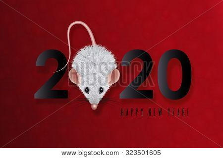 2020 Chinese New Year Design. Year Of The White Rat In The Eastern Calendar. Date With A Stylized Mo
