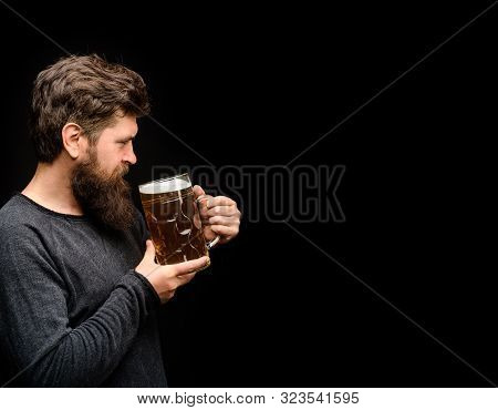 Tasting Fresh Brewed Beer. Oktoberfest Festival. Brewery Concept. Brewer Holds Glass With Craft Beer