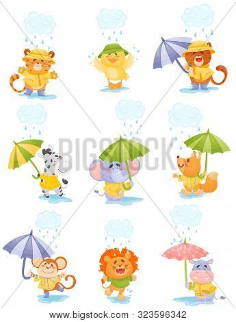 Cartoon Humanized Animals Walk In The Rain. Vector Illustration.