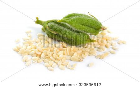 Sesame Green Pods With Seed Isolated On White Background