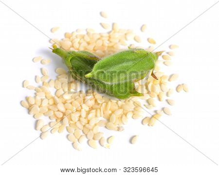 Sesame Green Pods With Seed Isolated On White Background