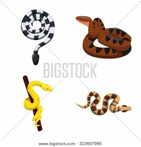 Vector Design Of Snake And Creepy Symbol. Set Of Snake And Danger Stock Vector Illustration.