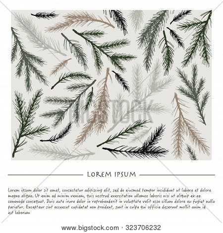 Christmas Background With Softwood Hand Drawn Nature Social Media Template For Greeting Card