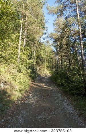 Natural Environment Of The Town Of Ripoll In Girona