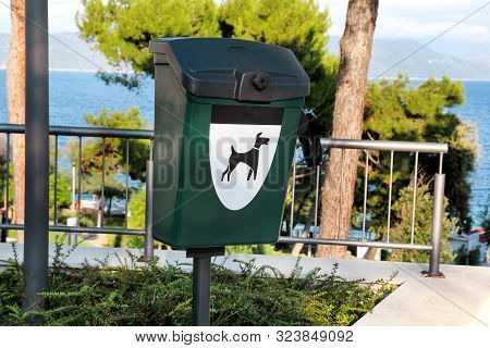 Green Dog Waste Container In A Tourist Complex Near The Sea / Public Trash Can For Dog Waste Poop Si