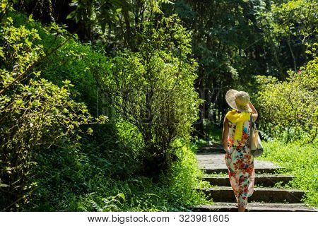 traveling Asian woman hiking in the forest at Xitou, Nantou, Taiwan