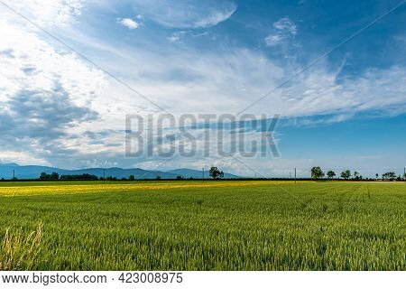 At The Foot Of The Monviso, Along The Banks Of The Po River, Agriculture Is The Main Source Of Incom
