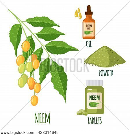 Vector Neem Or Nimtree In Flat Style Isolated On White Background.