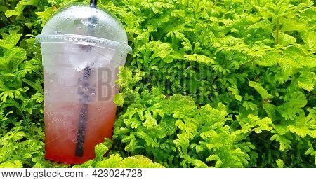 Close Up Plastic Glass Of Cold Strawberry Italian Soda Putting On Green Fern Background And Copy Spa