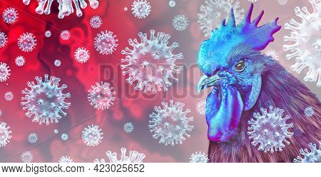 Bird Flu Virus And Rare Strain Viral Infected Livestock As Chickens And Poultry As A Health Risk For