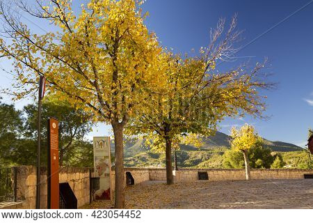 Caravaca, Murcia Province, Spain - November 17, 2017: Dervia With Golden Foliage In The Background O