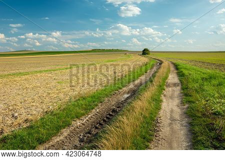 Rural Road Through Farmland And Clouds Against The Blue Sky, Staw, Poland