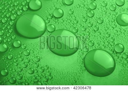 Water Drops On Green Background