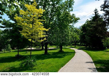 Drainage Of The Threshing Floor In The Forest Beige Color Transverse Wooden Gutter Drain The Water I