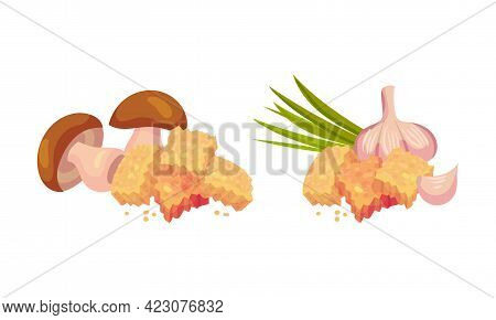 Flavored Crouton As Pieces Of Seasoned Rebaked Bread Vector Set