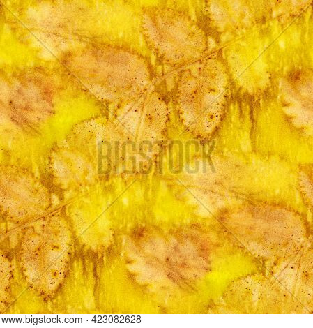 Botanical Print With Leaf Prints On Natural Silk. Hand-drawn Illustration. Ecoprint.