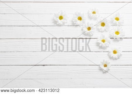 The White Chrysanthemum On White Wooden Background
