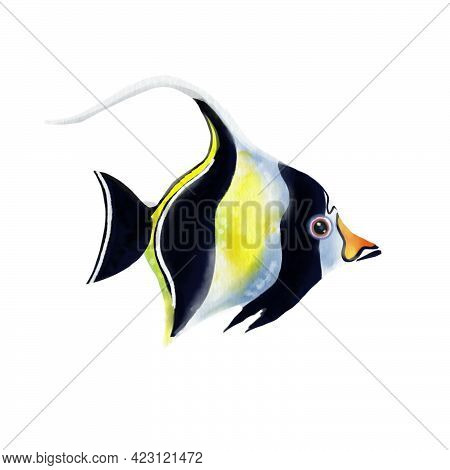 Moorish Idol Tropical Fish Isolated On White Background. Zanclus Cornutus.