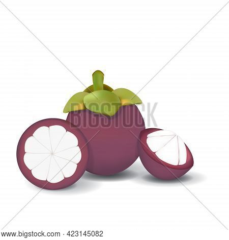 Mangosteen Healthy Organic Fresh Fruit Summer Isolated Vector Illustration