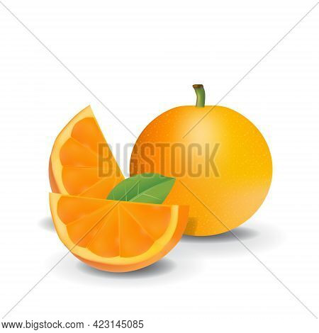 Orange Healthy Organic Fresh Fruit Summer Isolated Vector Illustration