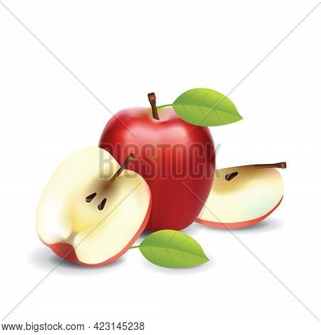 Red Apple Healthy Organic Fresh Fruit Summer Isolated Vector Illustration