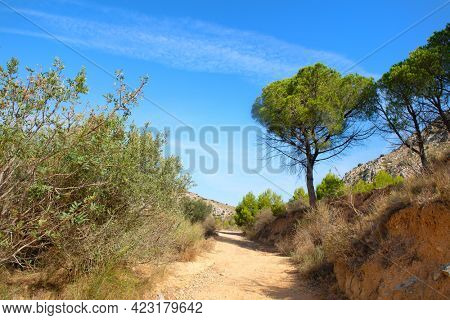 Hiking trail at Montgri massif with castell de Montgri on top